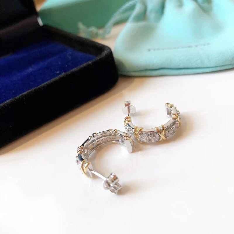 Tiffany Earrings Affordable 253135