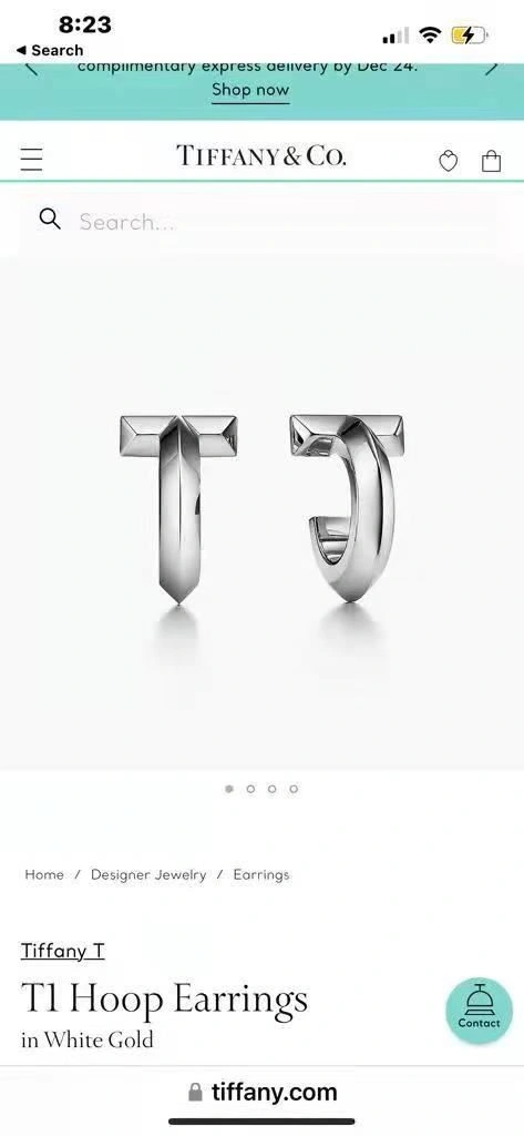 Tiffany Earrings Fashionable 253152