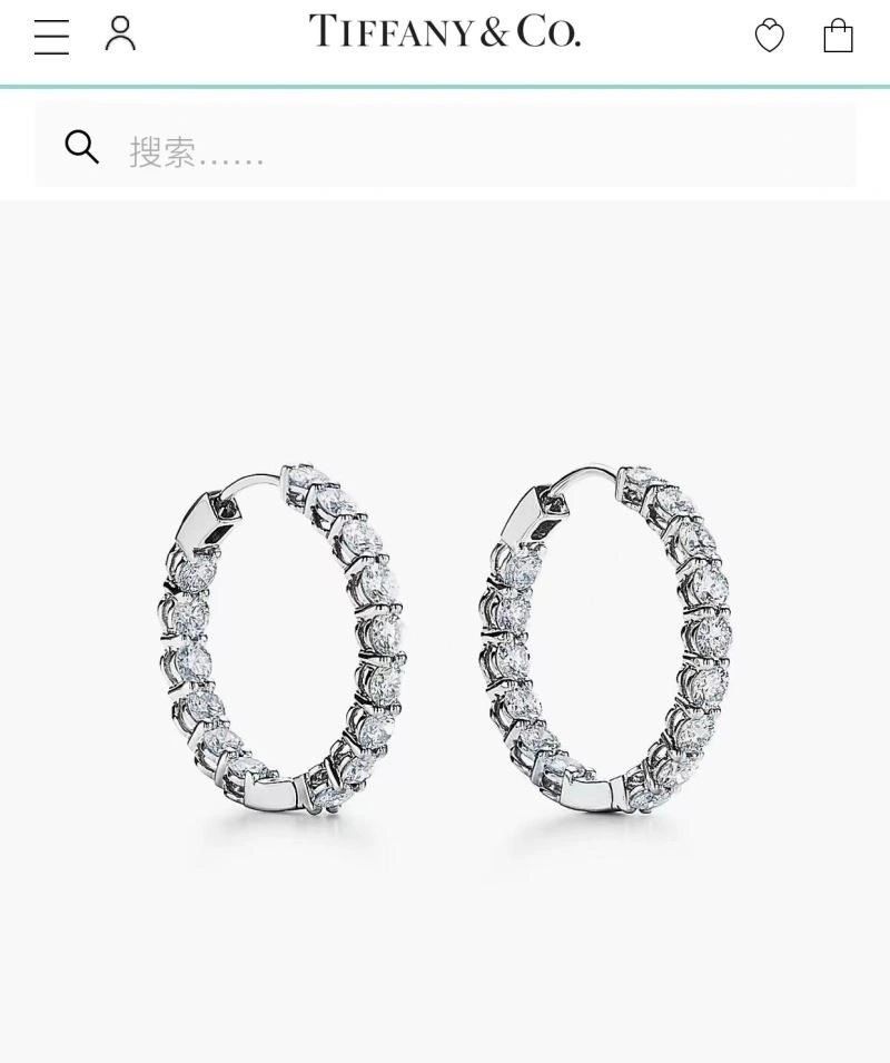 Premium Tiffany Earrings 253146