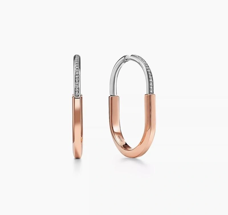 Tiffany Earrings Affordable 253156