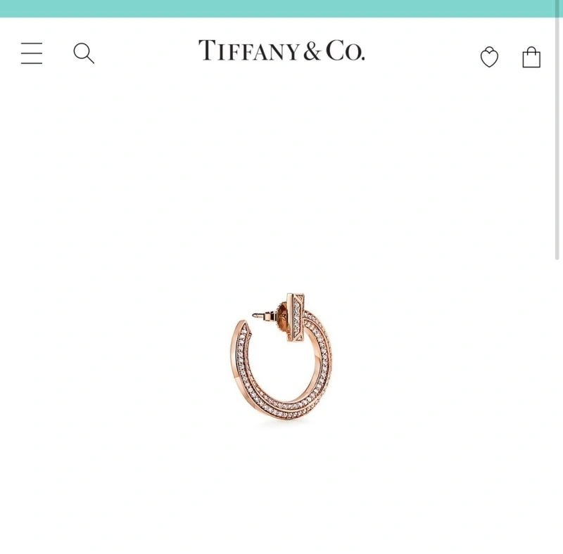 Tiffany Earrings Sophisticated 253145