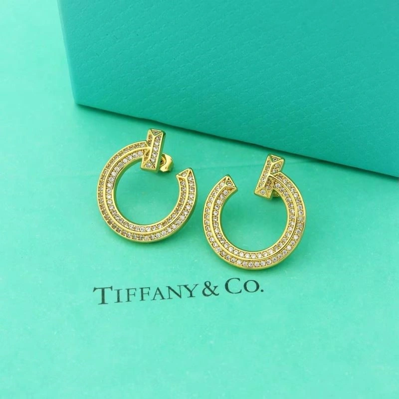 Tiffany Earrings Sophisticated 253145