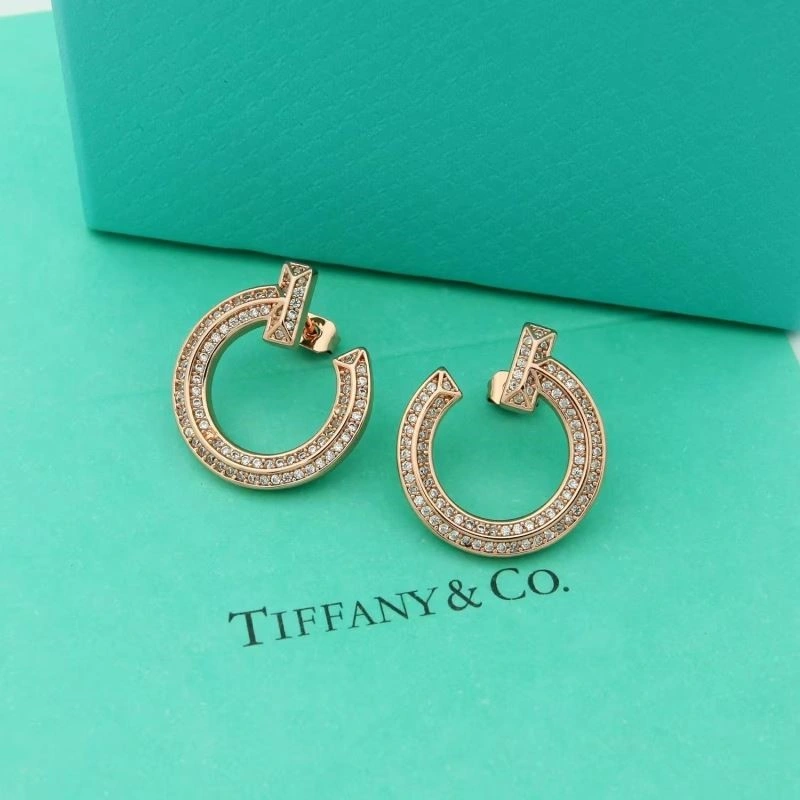 Tiffany Earrings Sophisticated 253145