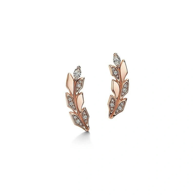 Tiffany Earrings Premium 253147