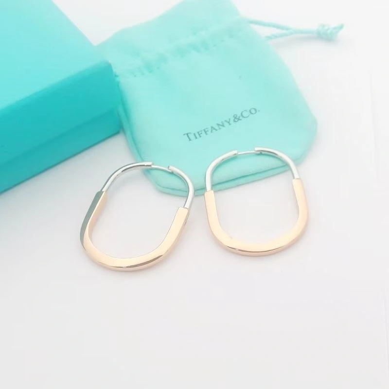 Functional Tiffany Earrings 253123