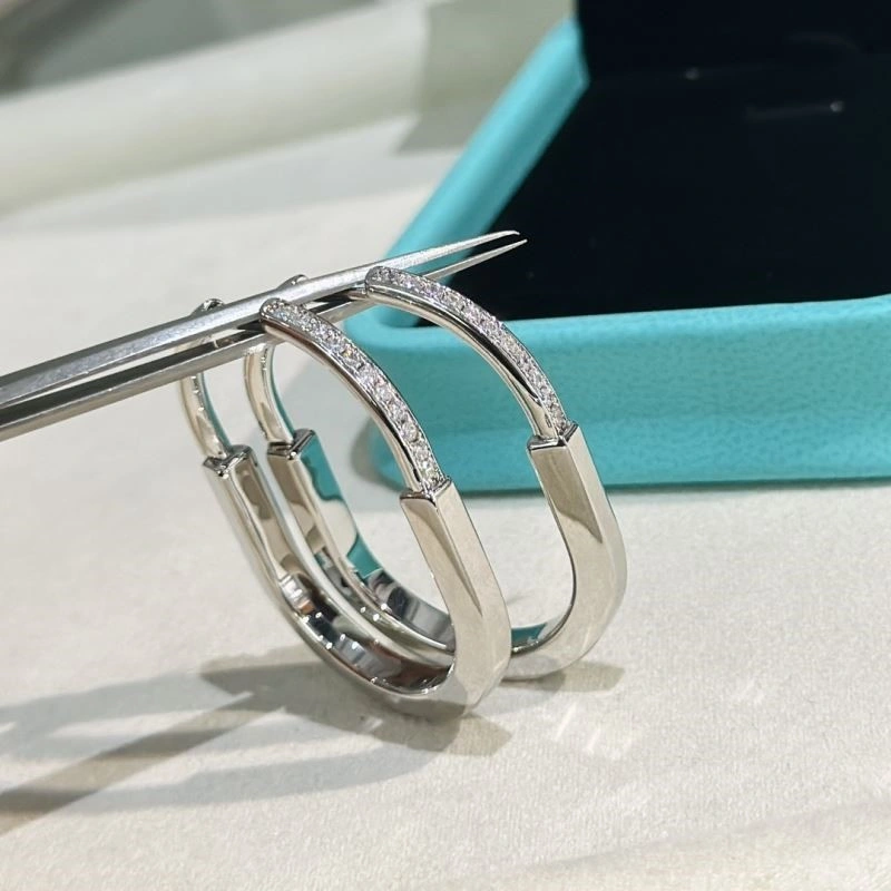 Tiffany Earrings Durable 253121