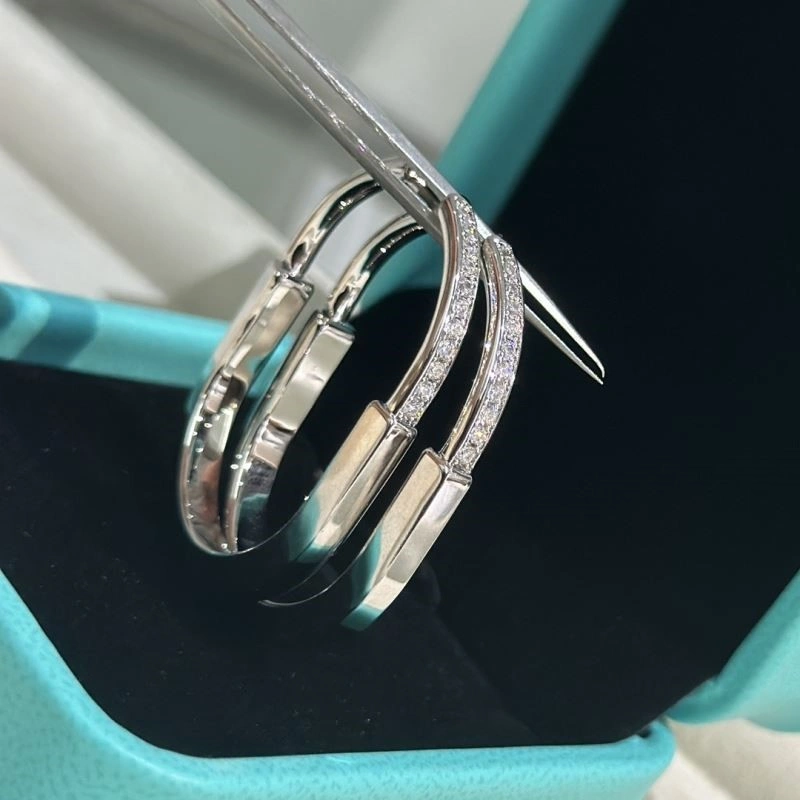 Tiffany Earrings Durable 253121