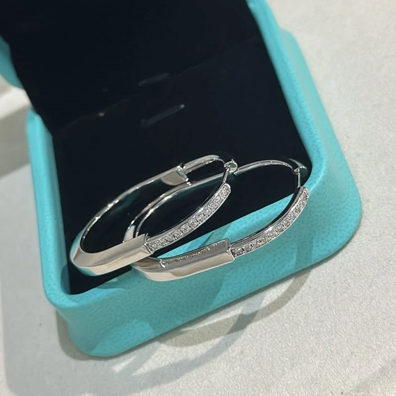 Tiffany Earrings Durable 253121