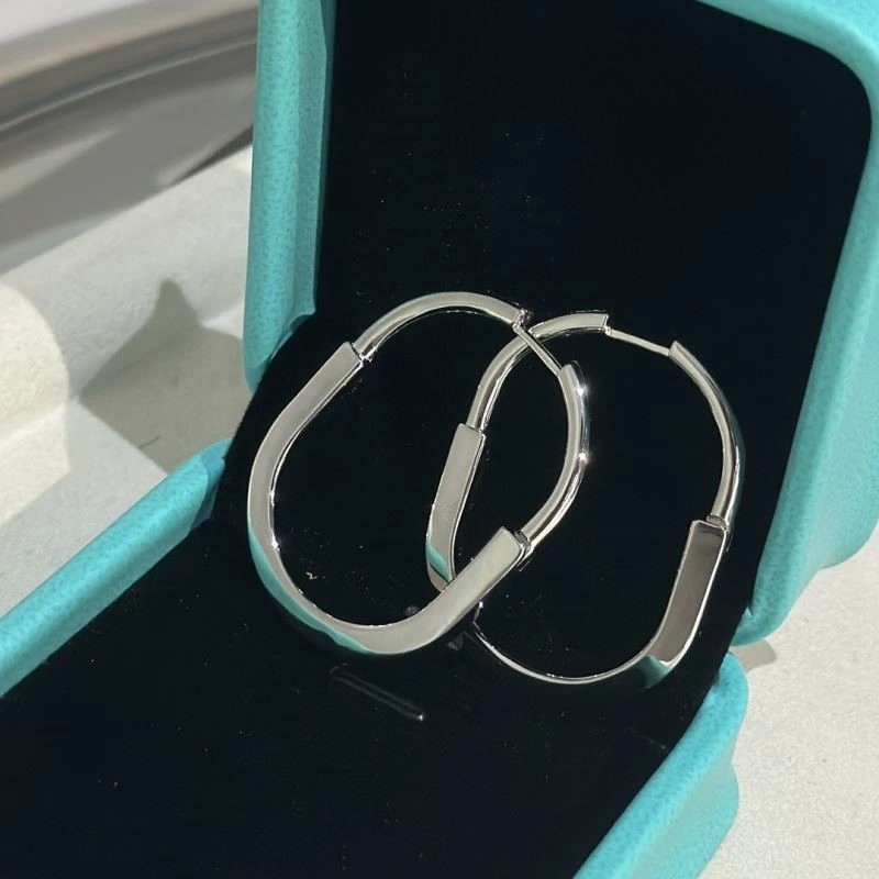 Tiffany Earrings Durable 253121