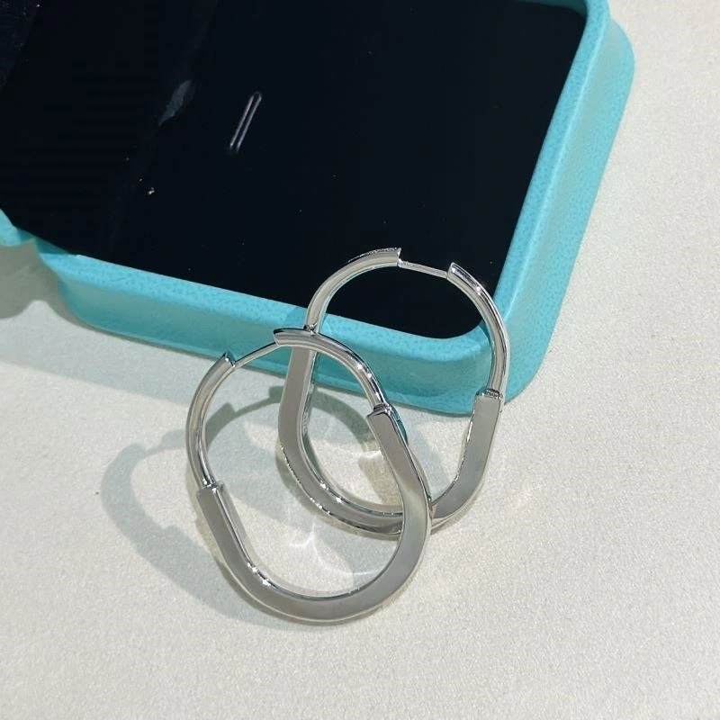 Tiffany Earrings Durable 253121