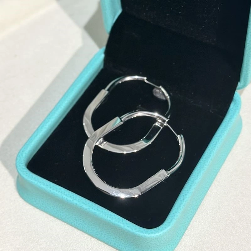 Tiffany Earrings Durable 253121
