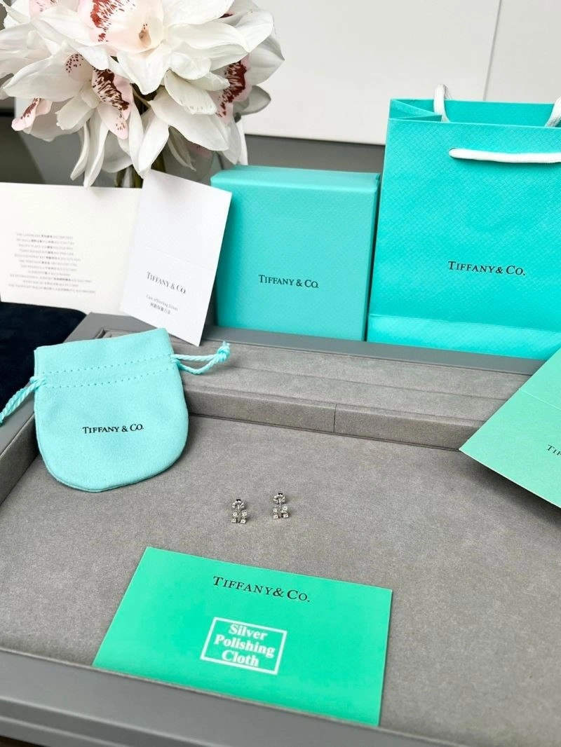 Contemporary Tiffany Earrings 253119