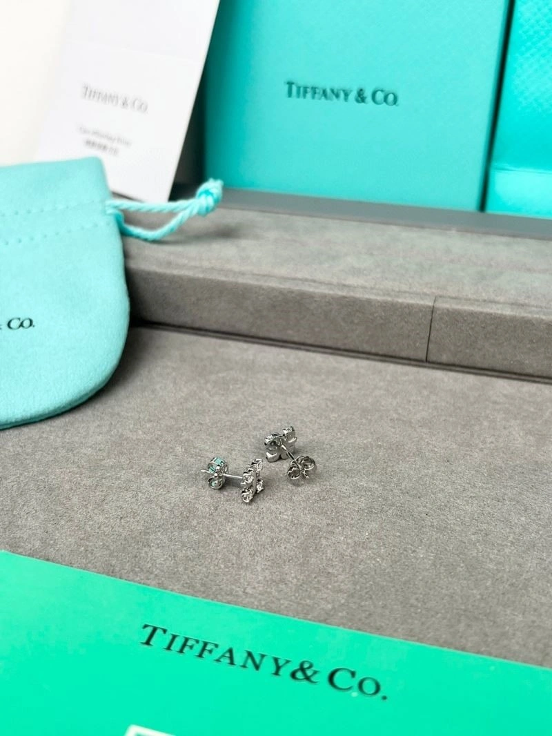 Contemporary Tiffany Earrings 253119