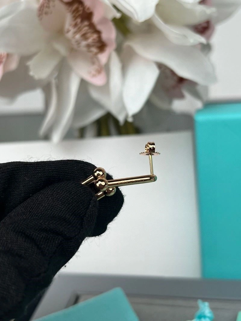 Tiffany Earrings ZeroBulk 253096