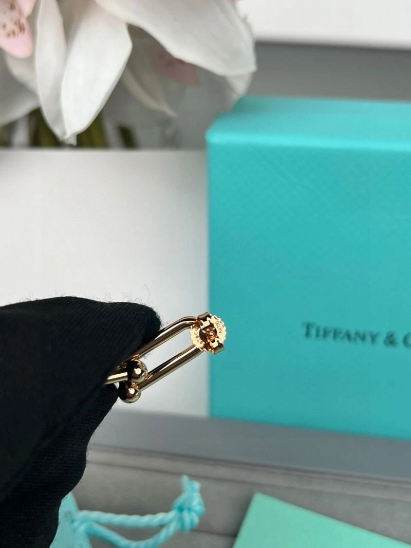 Tiffany Earrings ZeroBulk 253096