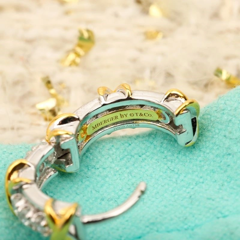 Cozy Tiffany Earrings 252851