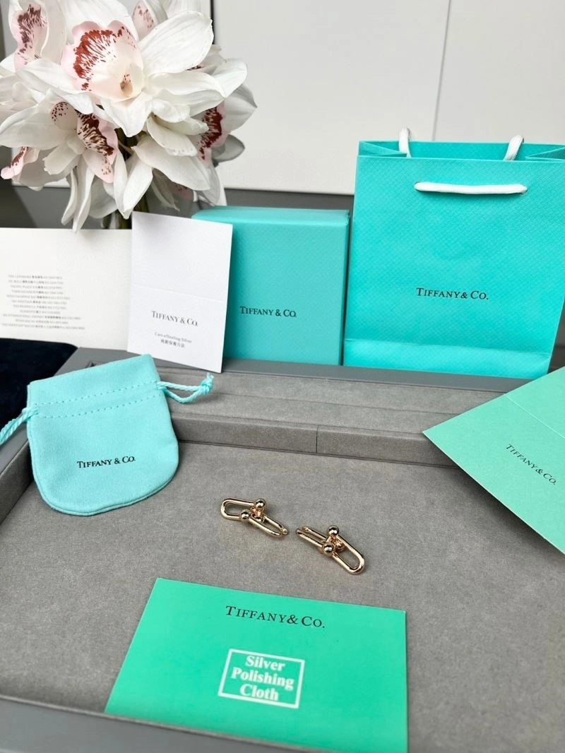 FastDry Tiffany Earrings 252731