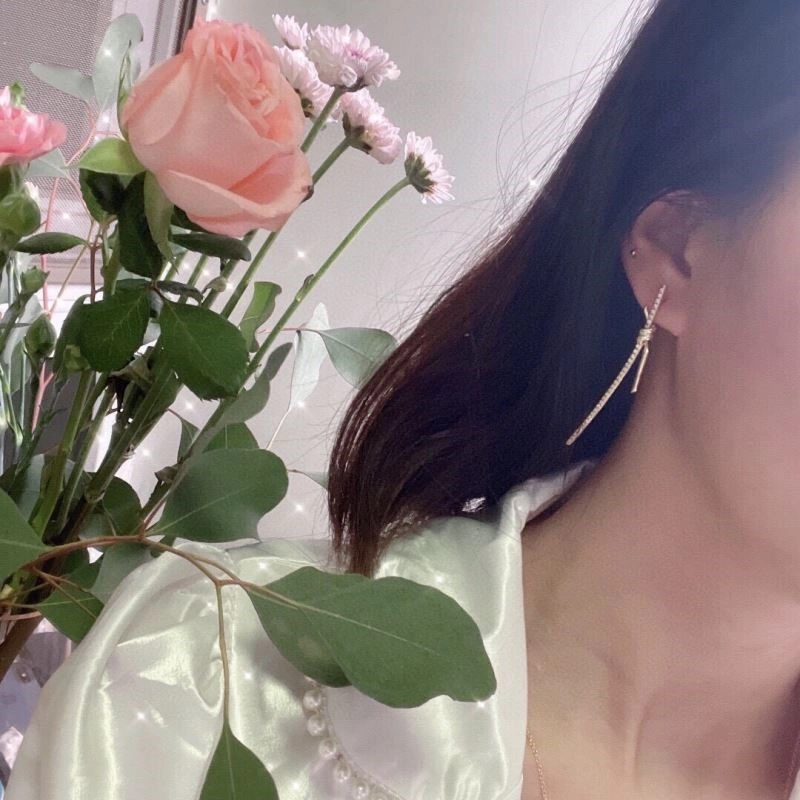 Tiffany Earrings MultiPurpose 252718