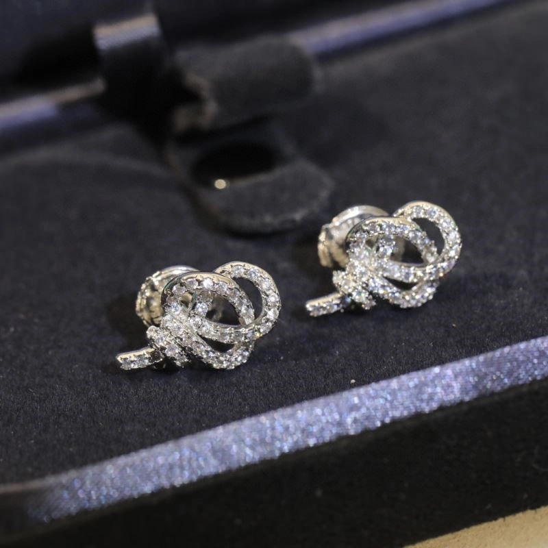 EyeCatching Tiffany Earrings 252738