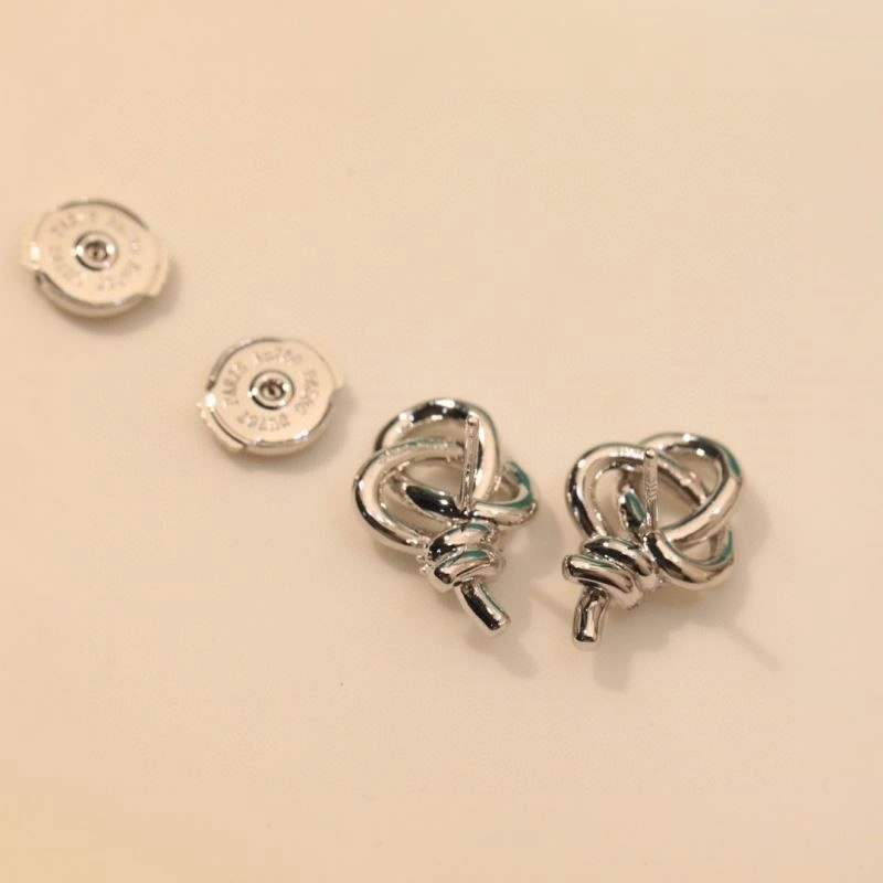 EyeCatching Tiffany Earrings 252738