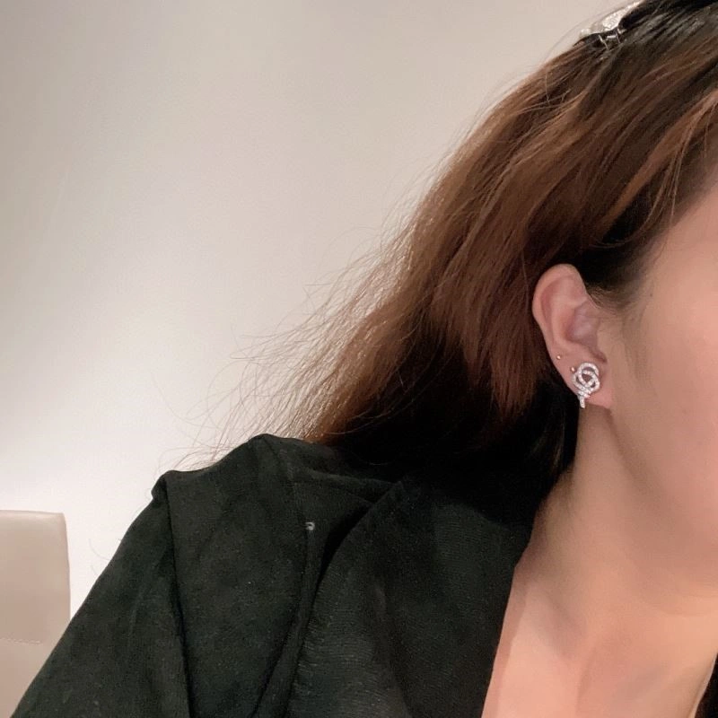 EyeCatching Tiffany Earrings 252738