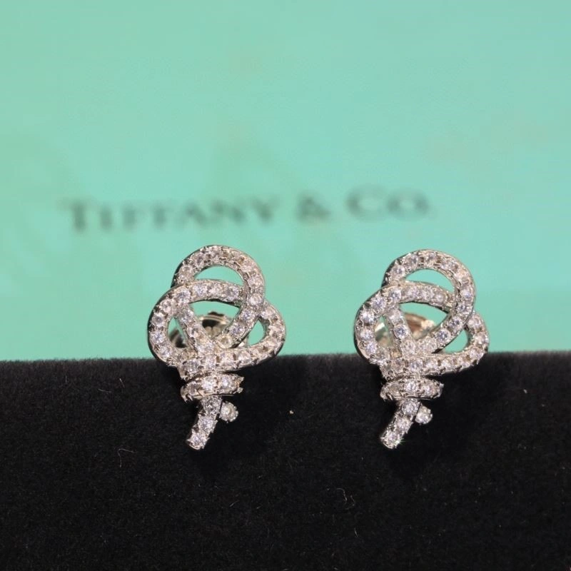 EyeCatching Tiffany Earrings 252738