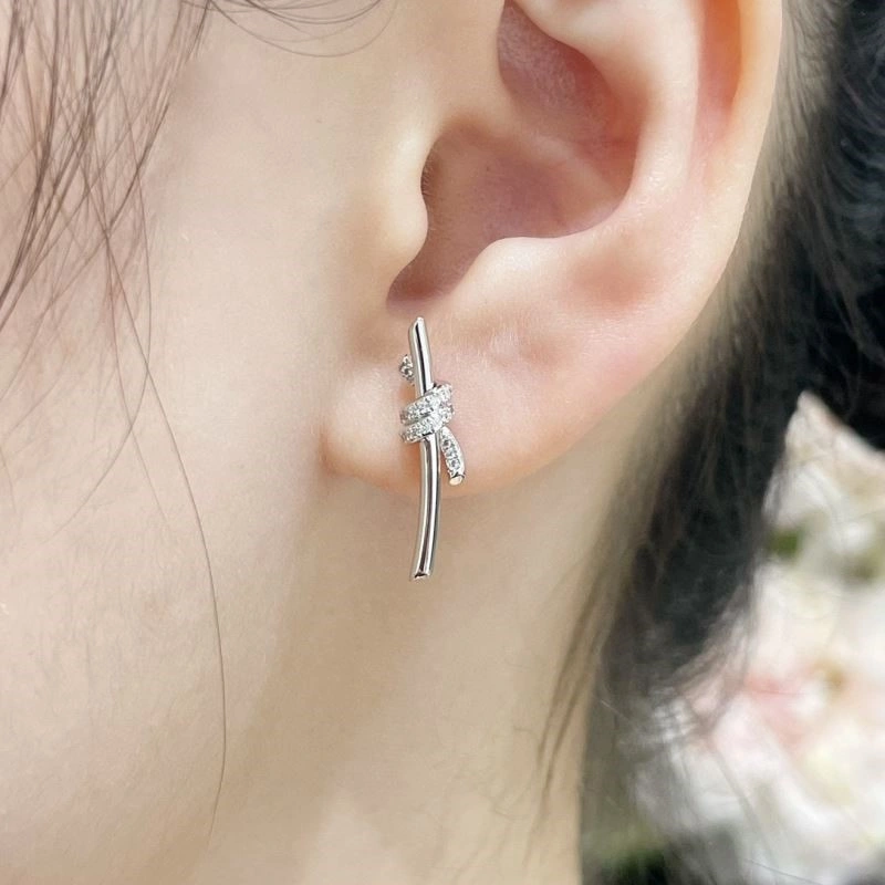 Tiffany Earrings GoAnywhere 252714