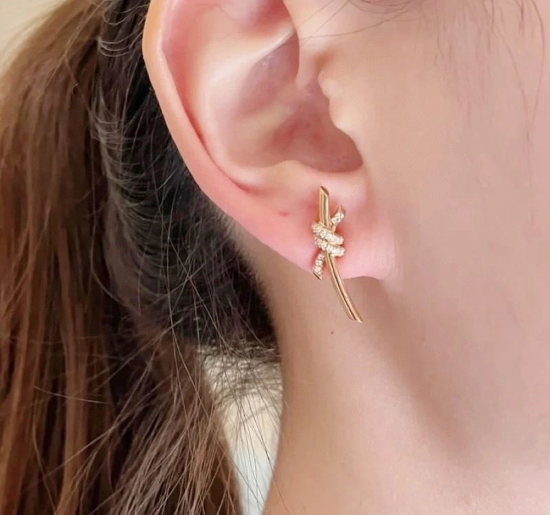 Tiffany Earrings GoAnywhere 252714