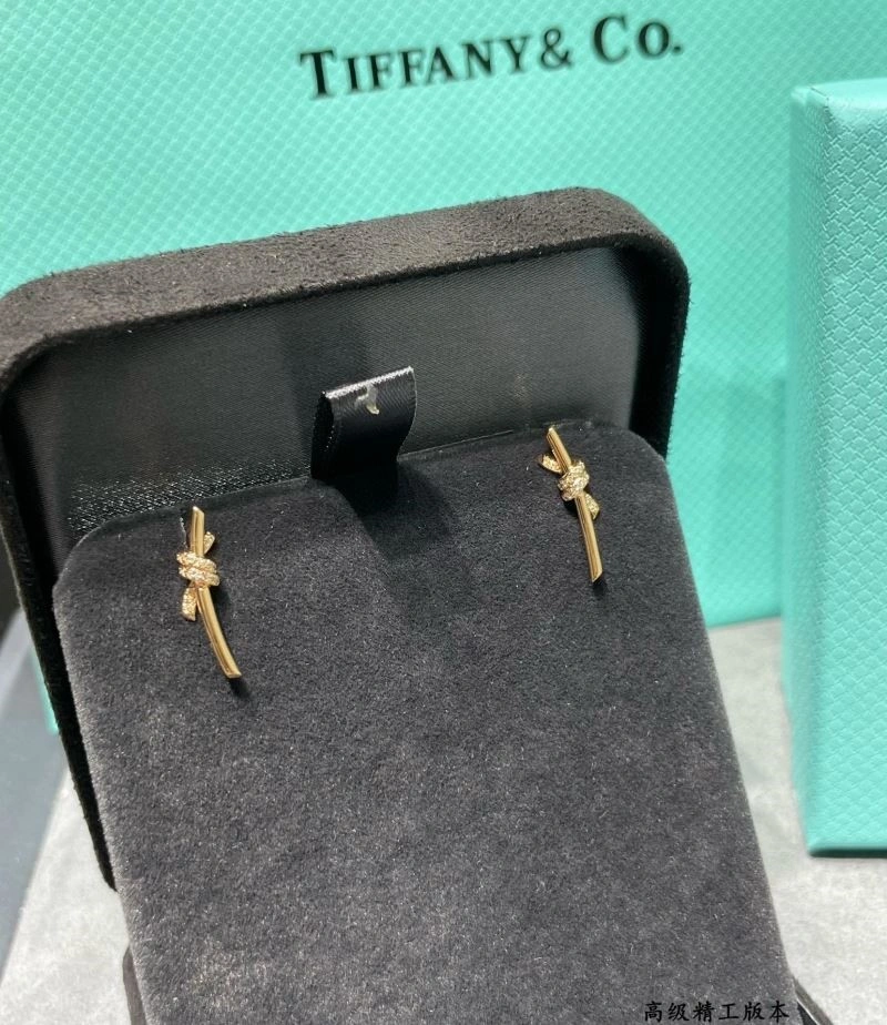 Tiffany Earrings GoAnywhere 252714