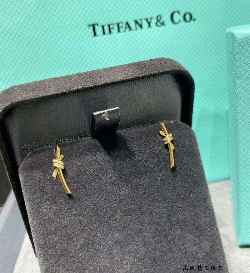 Tiffany Earrings GoAnywhere 252714