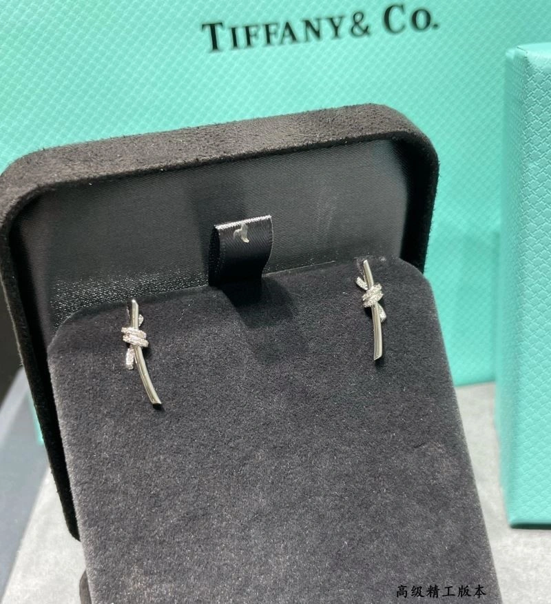 Tiffany Earrings GoAnywhere 252714