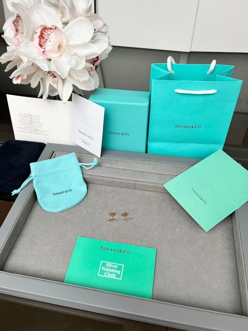 Effortless Tiffany Earrings 252694