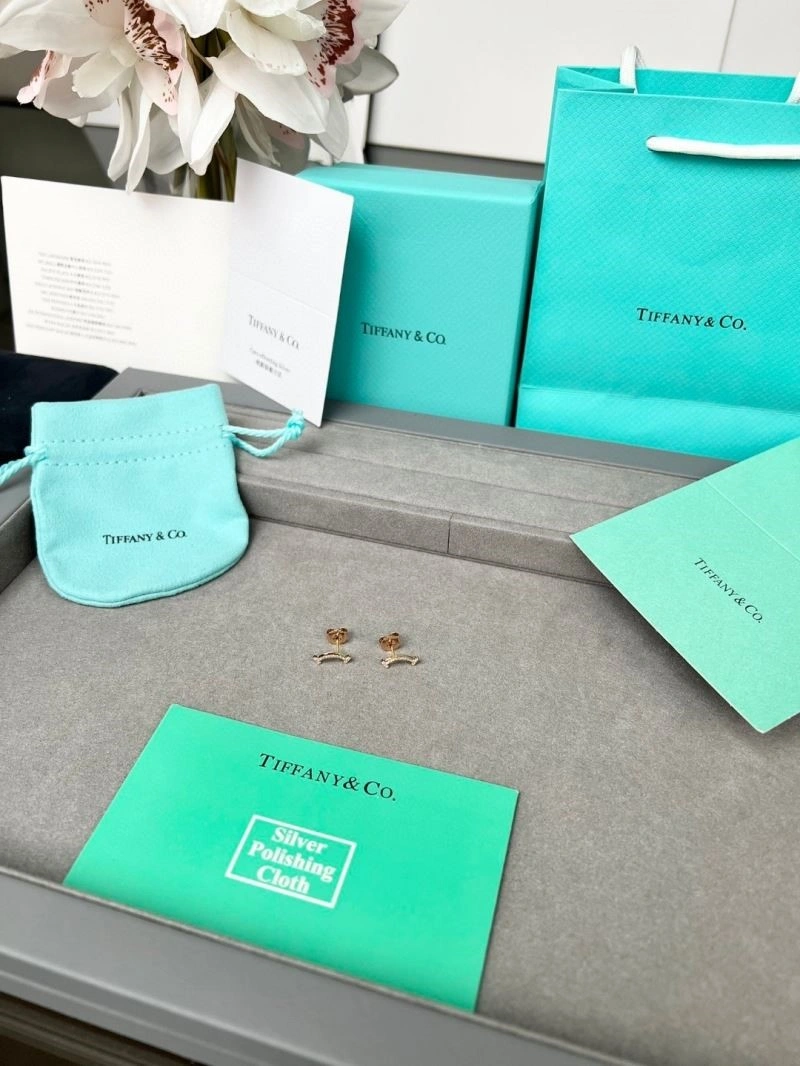 Effortless Tiffany Earrings 252694