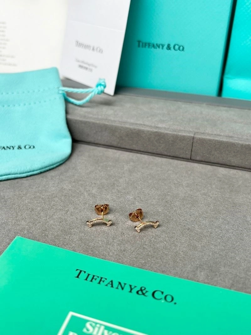 Effortless Tiffany Earrings 252694