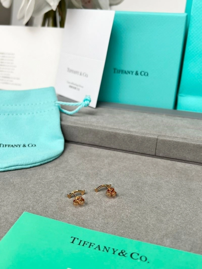 Effortless Tiffany Earrings 252694