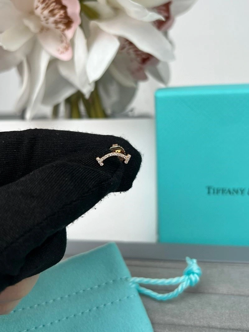 Effortless Tiffany Earrings 252694