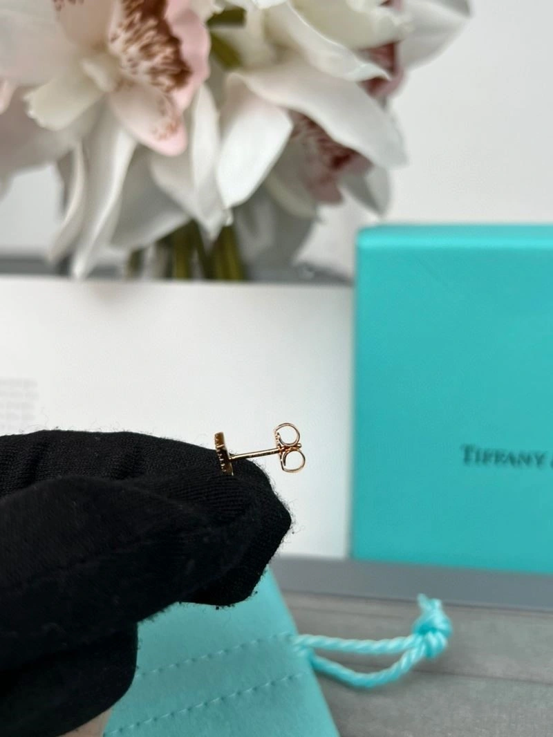 Effortless Tiffany Earrings 252694