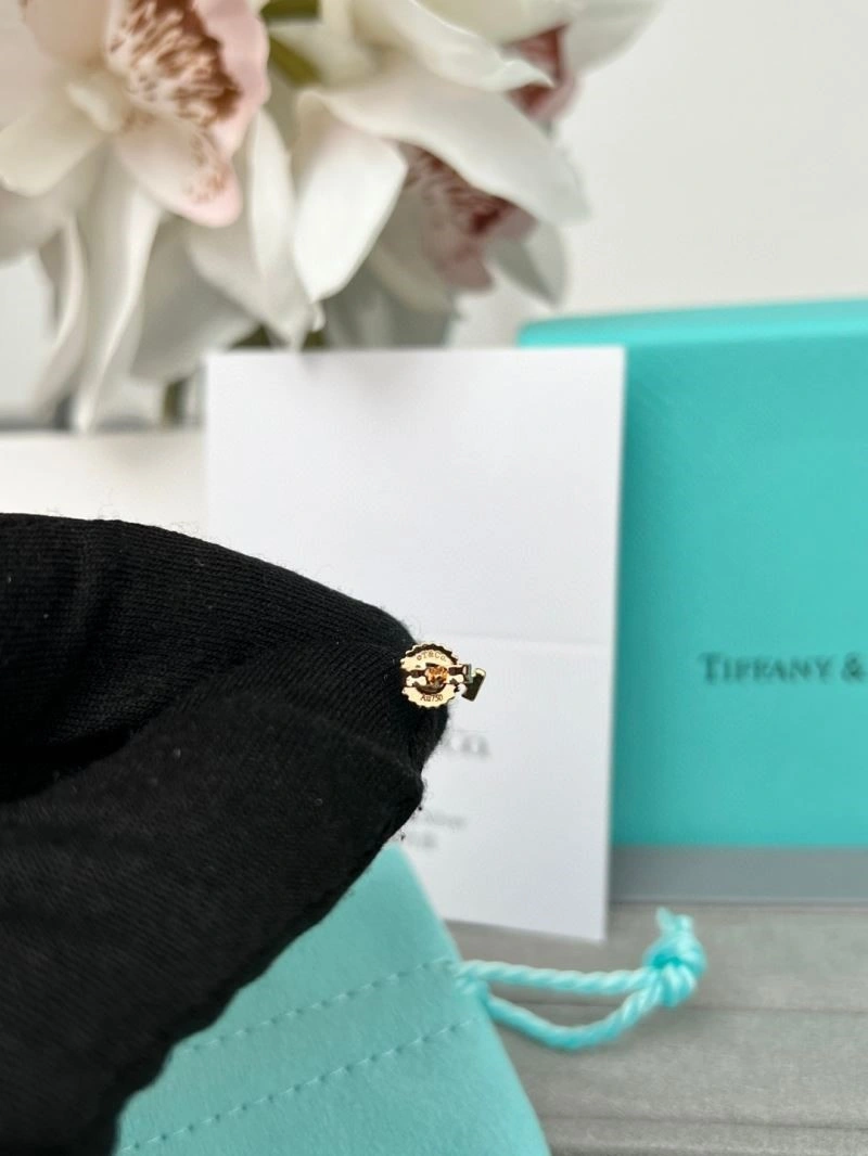 Effortless Tiffany Earrings 252694