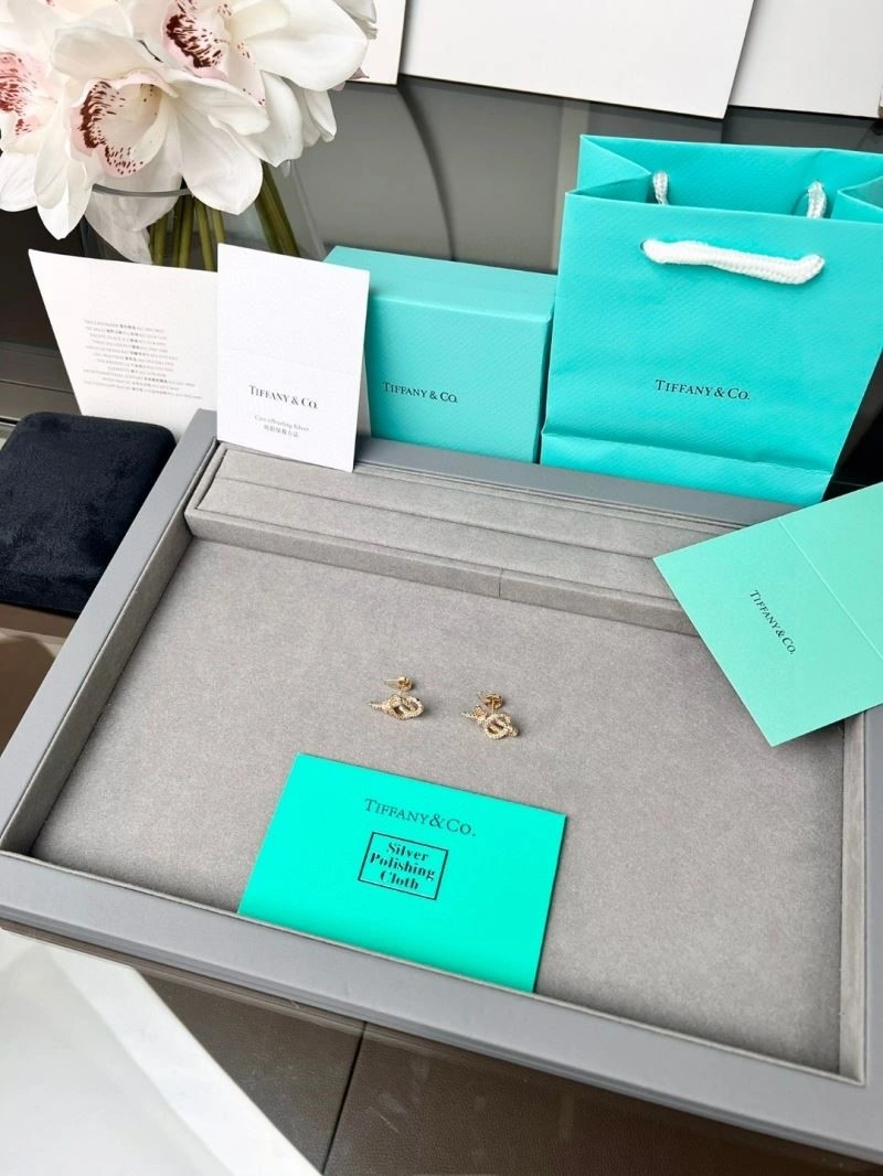 Tiffany Earrings BestValue 252687