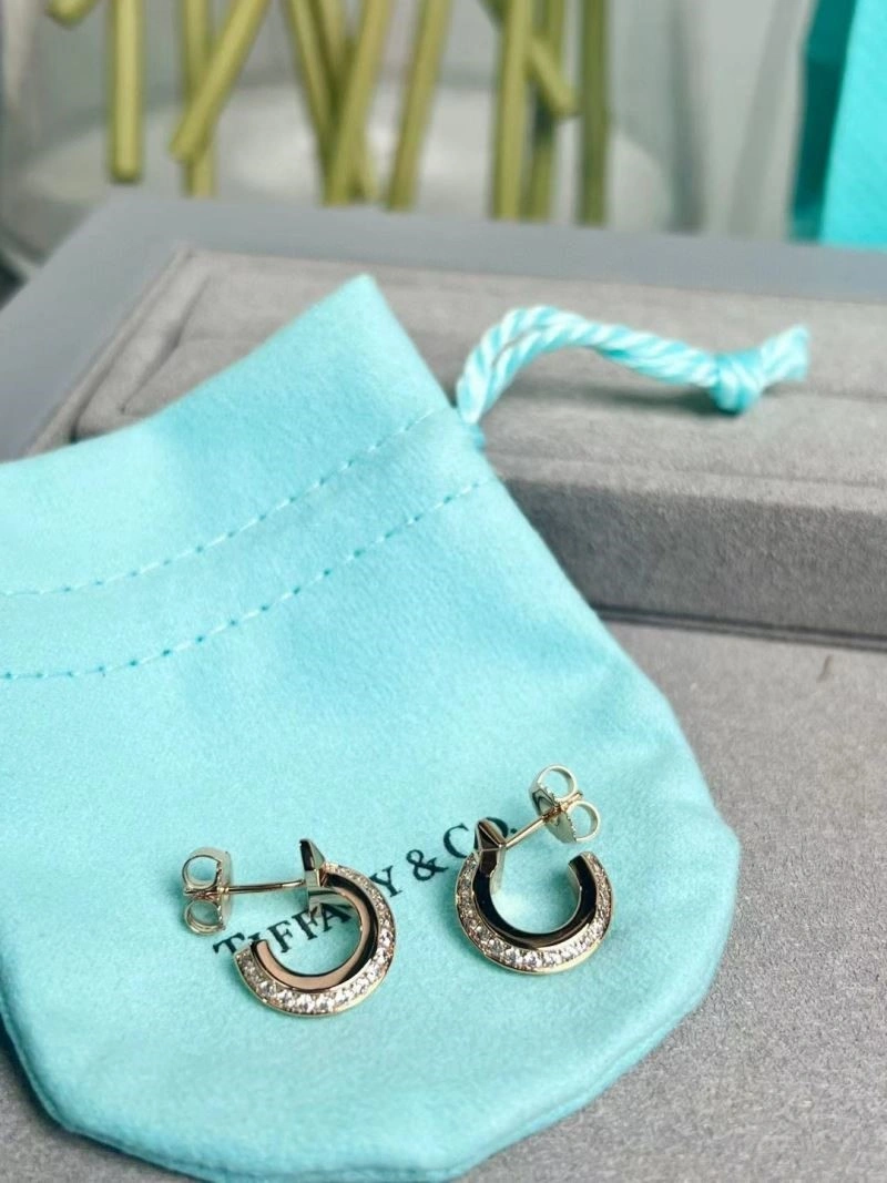 Tiffany Earrings Sustainable 252699