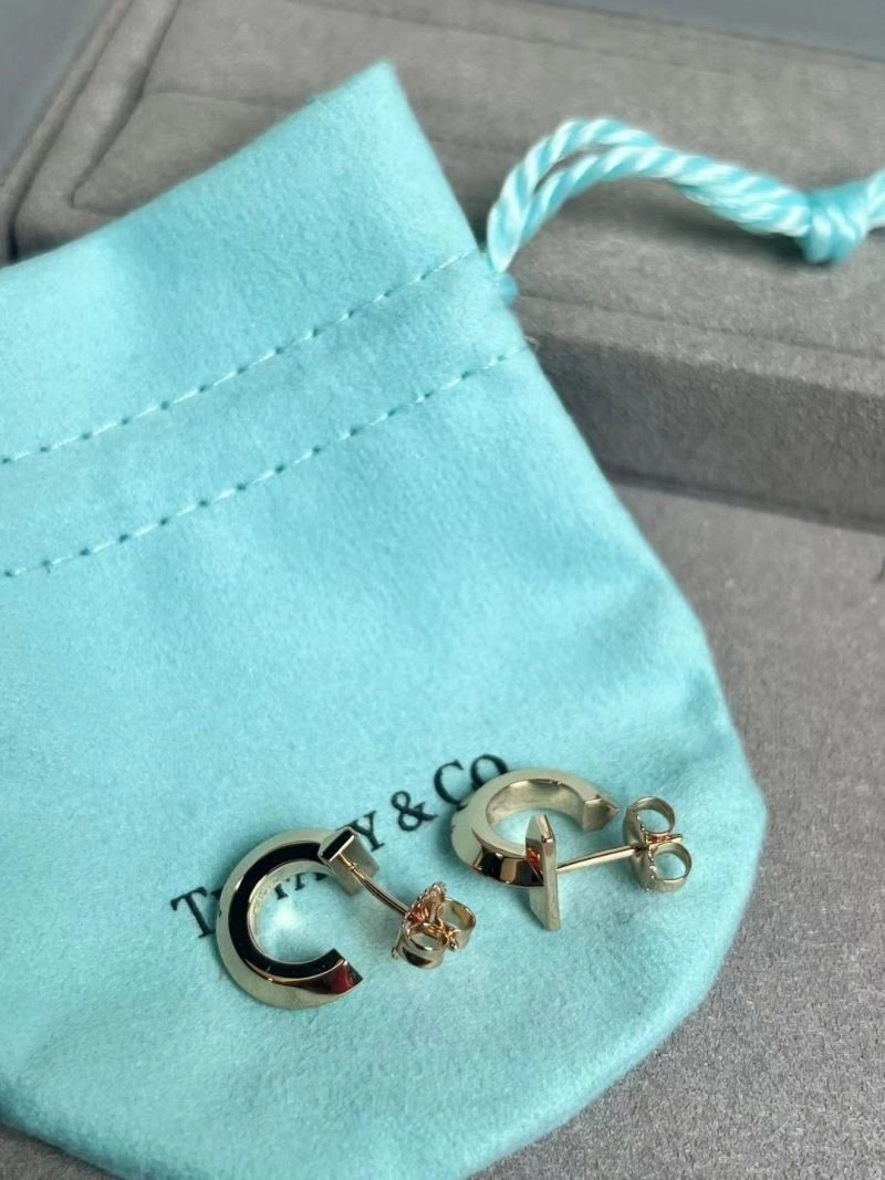 Tiffany Earrings Sustainable 252699