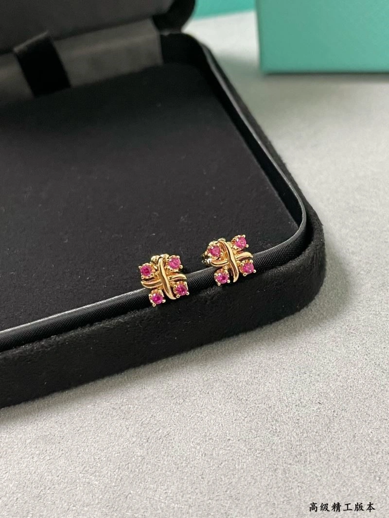 Tiffany Earrings Packable 252568