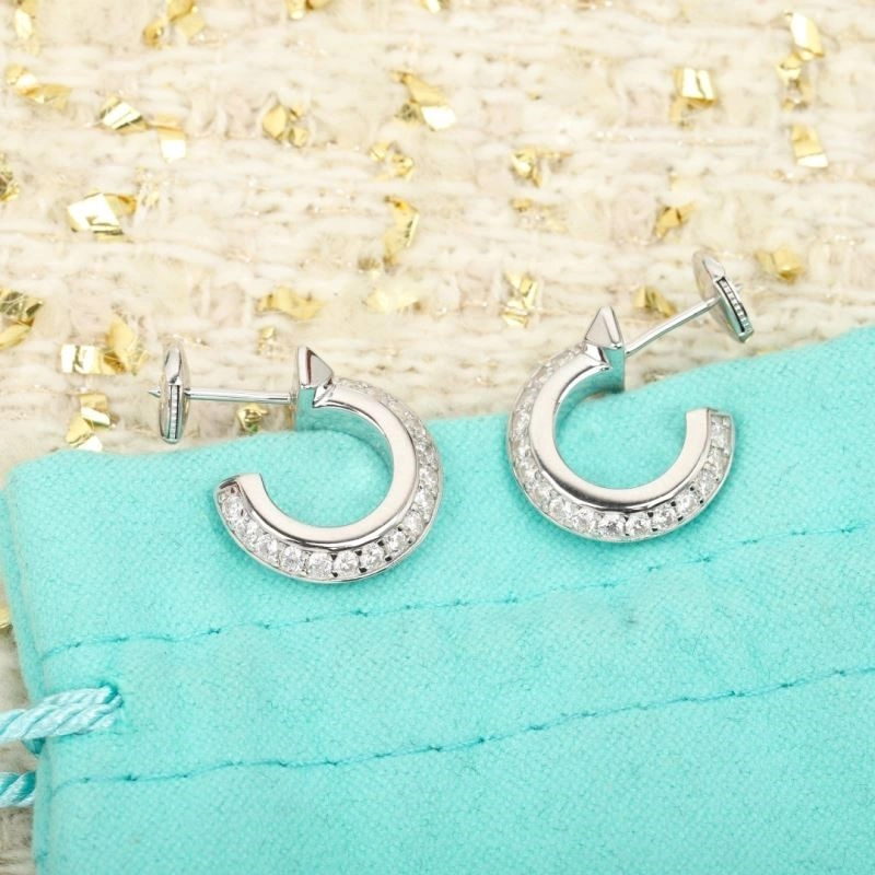 Tiffany Earrings MultiPurpose 252579
