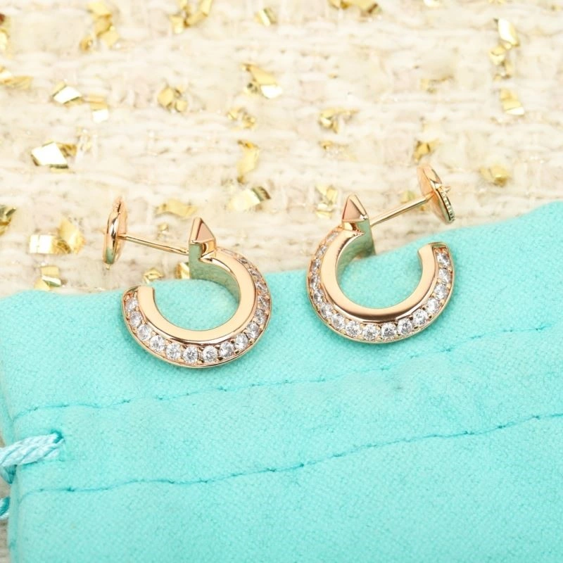 Tiffany Earrings MultiPurpose 252579