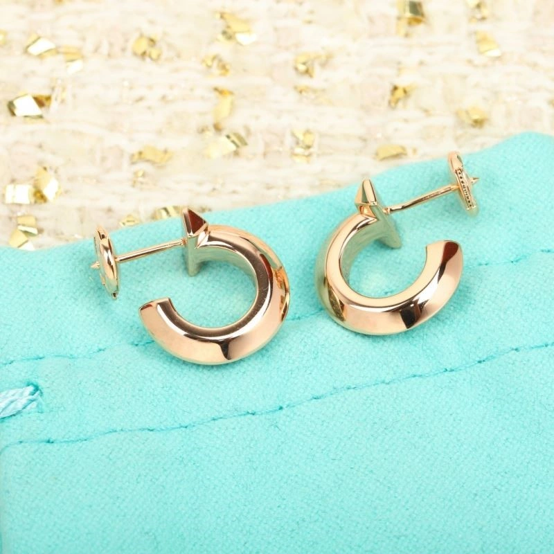 Tiffany Earrings MultiPurpose 252579