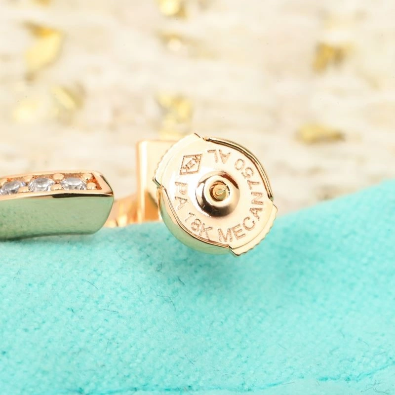 Tiffany Earrings MultiPurpose 252579