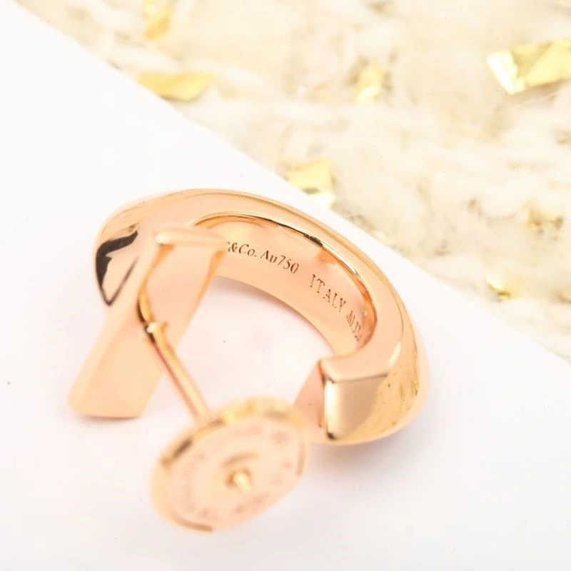 Tiffany Earrings MultiPurpose 252579
