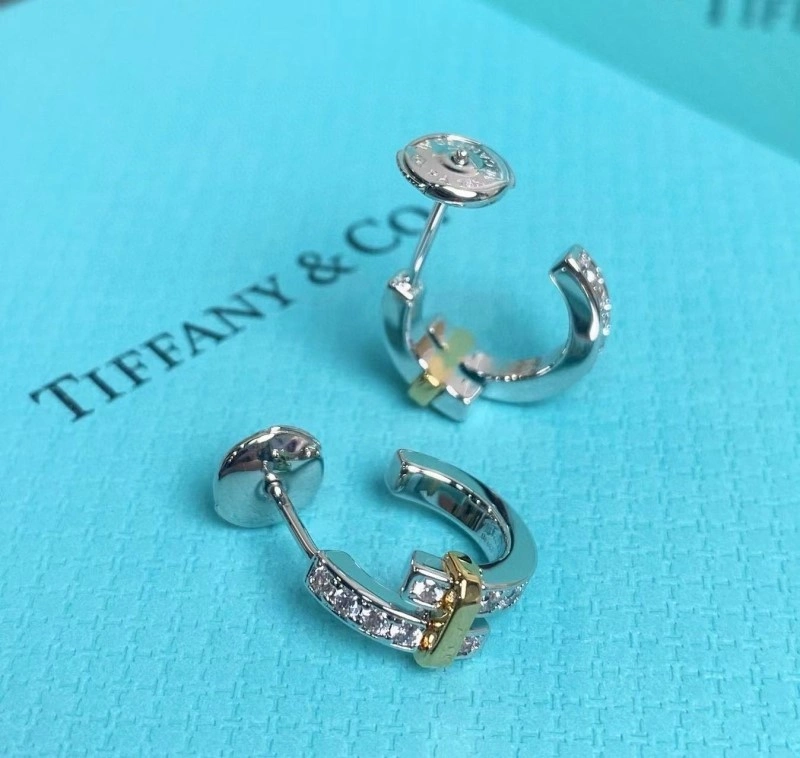 Tiffany Earrings SmoothTexture 252563