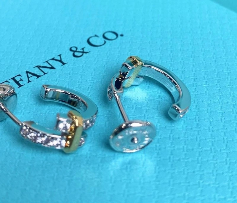 Tiffany Earrings SmoothTexture 252563