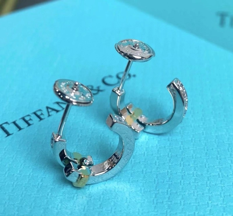 Tiffany Earrings SmoothTexture 252563